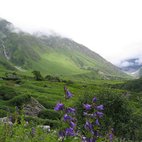 Uttarakhand Tours